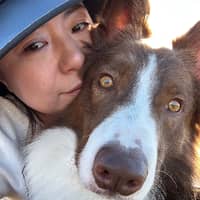 Sitter Profile Image: yanhong d.