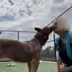 Sitter Profile Image: Brandi S.