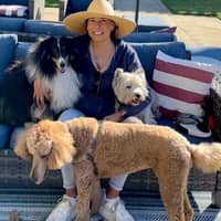 Sitter Profile Image: Dan K.