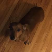 Sitter Profile Image: Connie B.