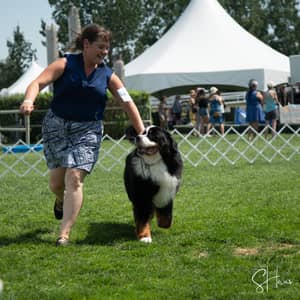 Sitter Profile Image: Bridgit D.