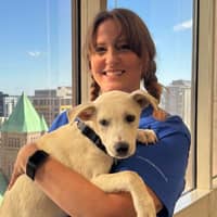 Sitter Profile Image: Molly B.