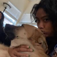 Sitter Profile Image: KJ C.