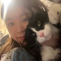 Sitter Profile Image: Hualong X.