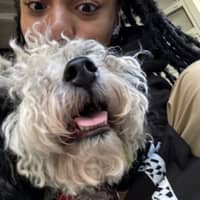 Sitter Profile Image: Deslynn H.