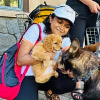 Sitter Profile Image: Tamara H.