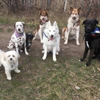 Sitter Profile Image: Heather A.