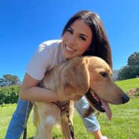 Sitter Profile Image: Natalie C.