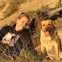 Sitter Profile Image: Sue S.