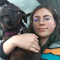 Sitter Profile Image: Rachel K.