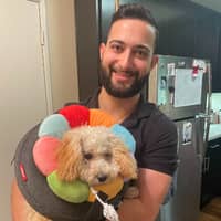 Sitter Profile Image: Avraham A.