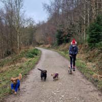 Sitter Profile Image: Helena G.