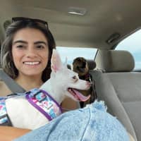 Sitter Profile Image: Beatriz R.