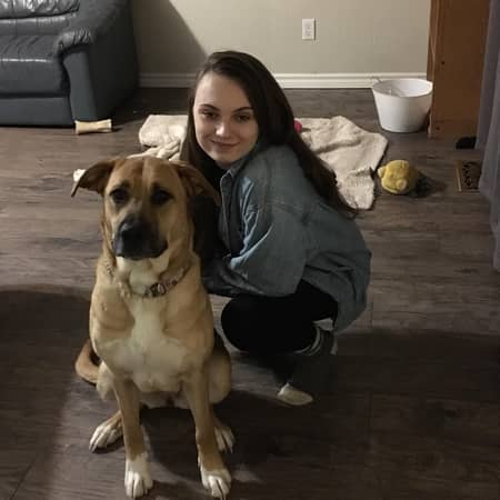 Sitter Profile Image: Sarah H.