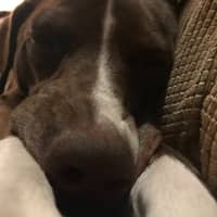 Sitter Profile Image: Pauline P.