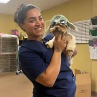 Sitter Profile Image: Yaritza C.