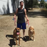 Sitter Profile Image: Joshua G.