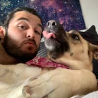 Sitter Profile Image: Jack K.