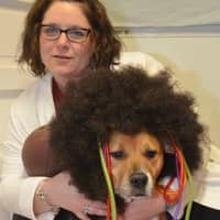 Sitter Profile Image: Ashley S.