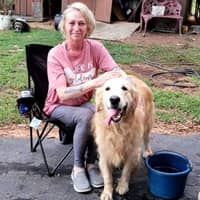 Sitter Profile Image: Cyndi N.