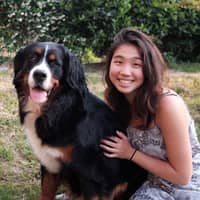 Photo de profil du pet sitter : Ning D.