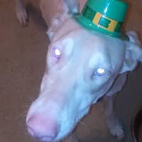 Sitterprofilbild: Precious R.