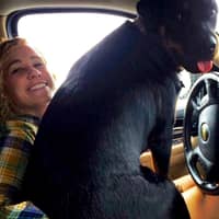 Sitter Profile Image: Megan W.