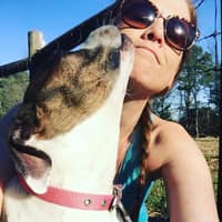 Sitter Profile Image: Sarah H.