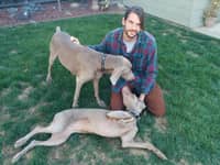 Sitter Profile Image: Colin D.