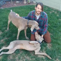 Sitter Profile Image: Colin D.