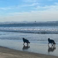 Sitter Profile Image: Gabrielle & Matthew A.