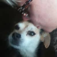 Sitter Profile Image: Tea B.