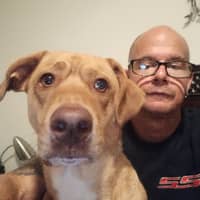 Sitter Profile Image: Adam R.