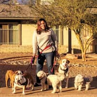 Sitter Profile Image: Laura A.