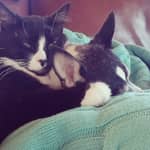 Sitter Profile Image: Michelle R.