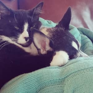 Sitter Profile Image: Michelle R.