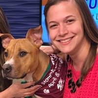 Sitter Profile Image: Alexa S.