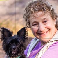 Sitter Profile Image: JJ M.