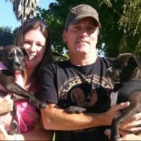 Sitter Profile Image: Mike & Terri M.