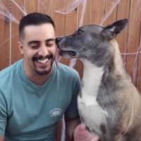 Sitter Profile Image: Salvador A.