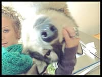 Sitter Profile Image: Kendra A.