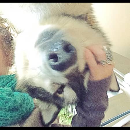 Sitter Profile Image: Kendra A.