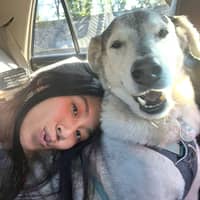 Sitter Profile Image: Theresa P.