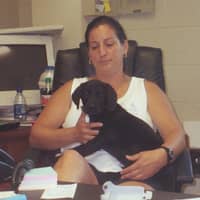 Sitter Profile Image: Terri K.