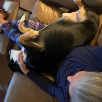 Sitter Profile Image: Heidi S.