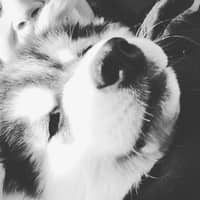 Sitter Profile Image: Mr & Mrs. Chaz and Kimberly C.