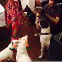 Sitter Profile Image: MClaudeW