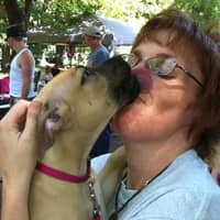 Sitter Profile Image: LeAnn R.