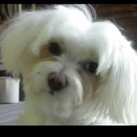 Sitter Profile Image: Wendy P.