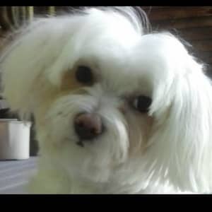 Sitter Profile Image: Wendy P.